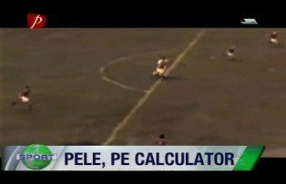 Pele, pe calculator
