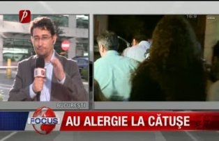 Au alergie la catuse