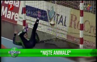 "Nişte animale"