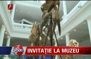 Invitatie la muzeu