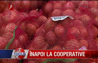 Inapoi la cooperative