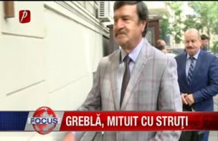 Grebla mituit cu struti