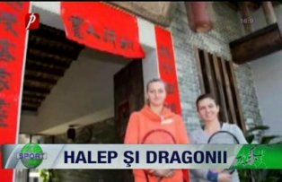 Halep şi dragonii
