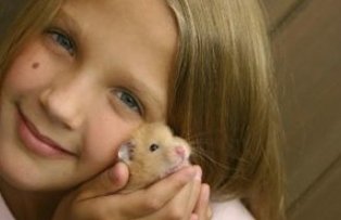 Ce animale de casa sa nu iti iei. Si ce sa faci atunci cand NU te poti abtine