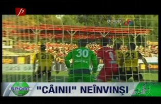 "Câinii" neînvinşi