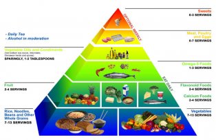 Ce este, de fapt, piramida alimentara