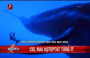Cel mai asteptat targ IT