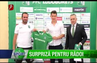 Surpriză pentru Rădoi