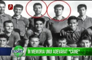 În memoria unui adevărat "câine"