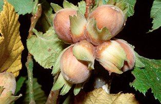 Afacerea care i-a salvat viata