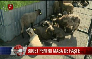 Bugetul pentru masa de Paste