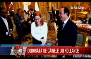 Doborata de cainele lui Hollande