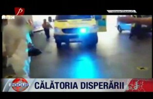 Calatoria disperarii
