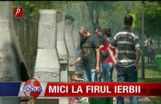 Mici la firul ierbii