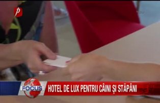 Hotel de lux pentru câini şi stăpâni