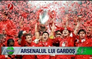 Arsenalul lui Gardoş