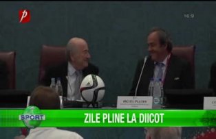 Zile pline la Diicot