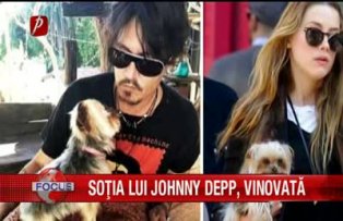 Sotia lui johnny Depp, vinovata