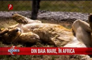 Din Baia Mare in Africa