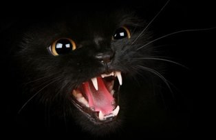 Cele mai puternice superstitii romanesti