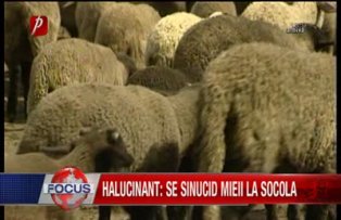 Halucinant se sinucid mieii la Socola