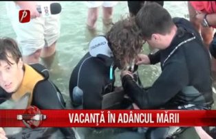 Vacanţă în adâncul mării
