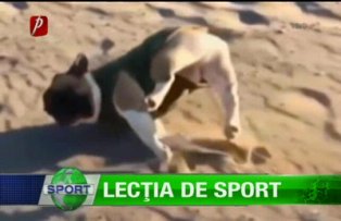 Lecţia de sport