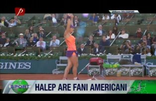 Halep are fani americani