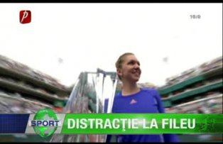 Distracţie la fileu