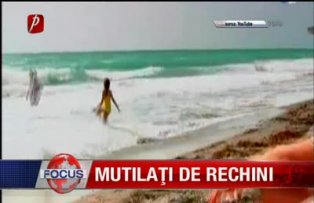 Mutilati de rechini