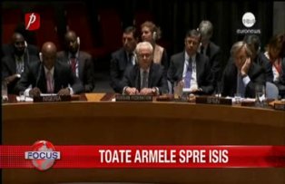 Toate armele spre ISIS