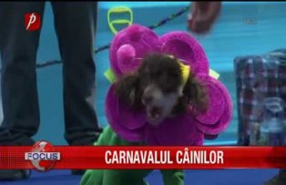 Carnavalul cainilor
