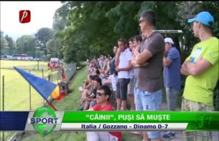 "Câinii", puşi să muşte