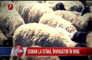 Cioban la stana, invingator in ring