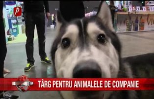 Targ pentru animalele de companie