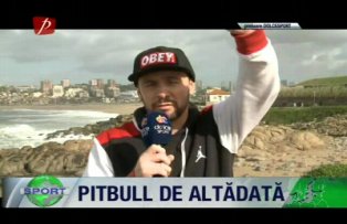 Pitbull de altădată