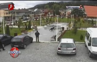 Ursul a venit în parcul din Buşteni