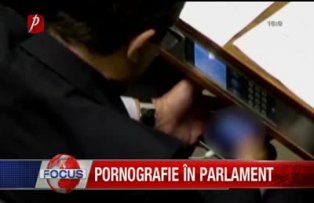 Pornografie in parlament
