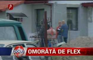 Omorata de flex