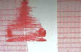 Un cutremur cu magnitudinea de 4,4 grade pe scara Richter a avut loc în România