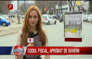 Codul fiscal aprobat de guvern