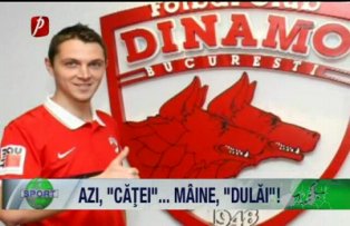 Azi, "căţei"... mâine, "dulăi"!