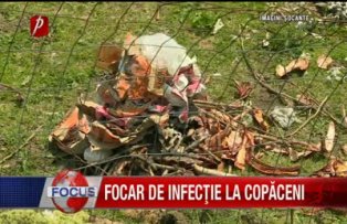 Focar de infectie la Copaceni