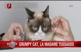 Grumpy Cat la Madame Tussauds