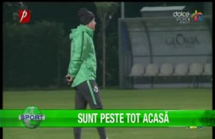 Sunt peste tot acasă