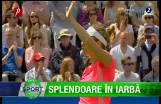 Splendoare în iarbă