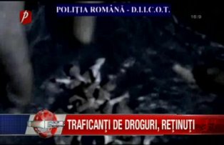 Traficanti de droguri retinuti