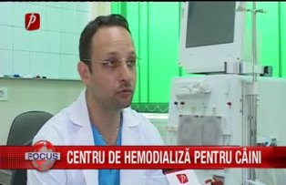 Centru de hemodializă pentru câini