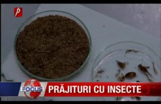 Prajituri cu insecte