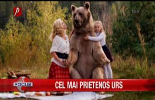 Cel mai prietenos urs